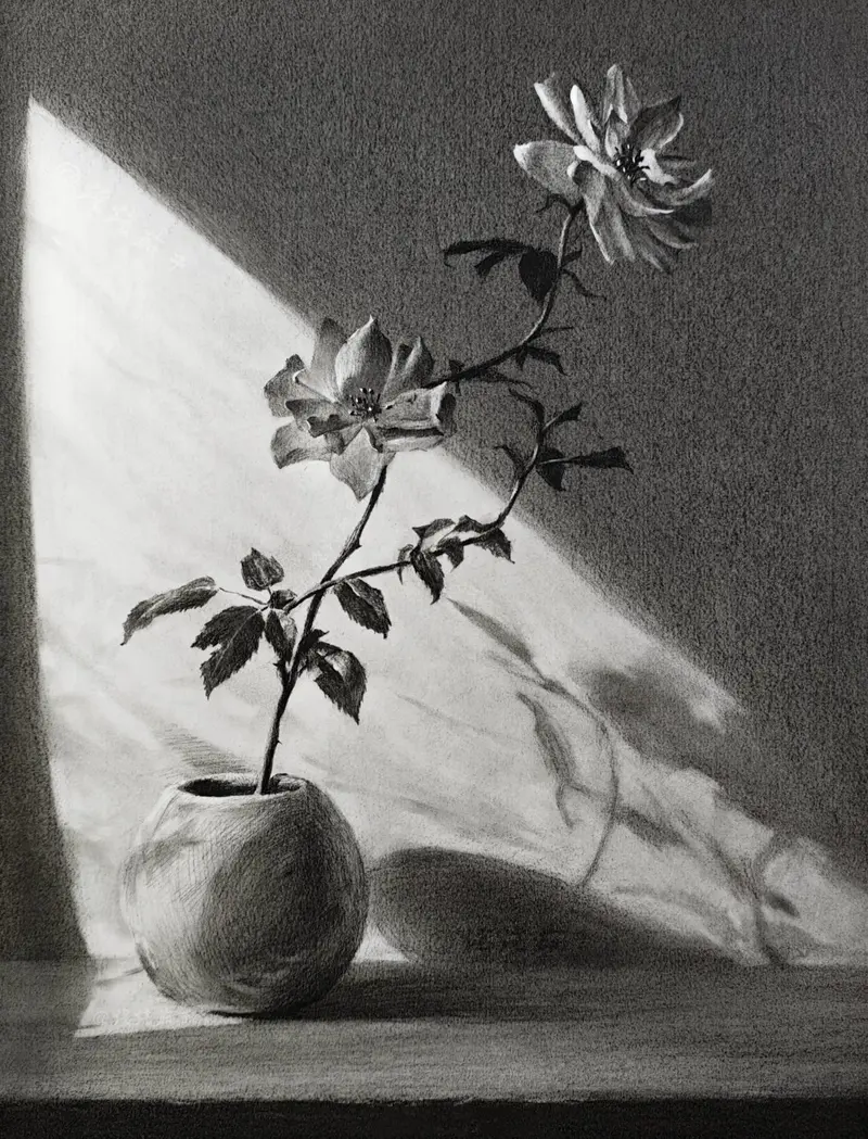 素描作品5